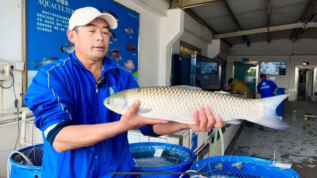香港料精准免费