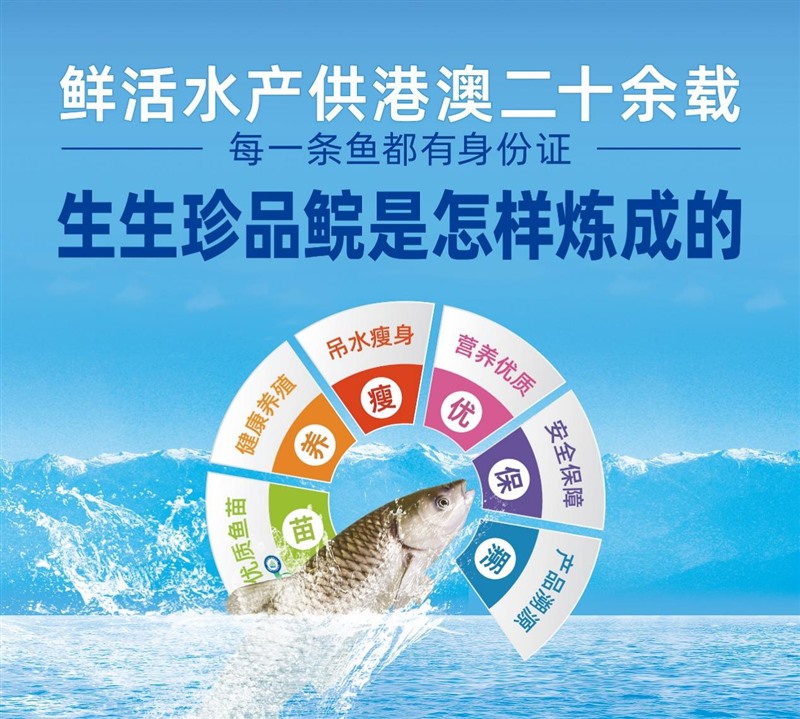 香港料精准免费