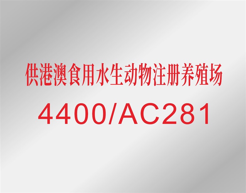 香港料精准免费
